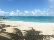 Studio a louer a St Martin, l’île aux 36 plages !!!!!